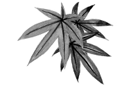 Floating image