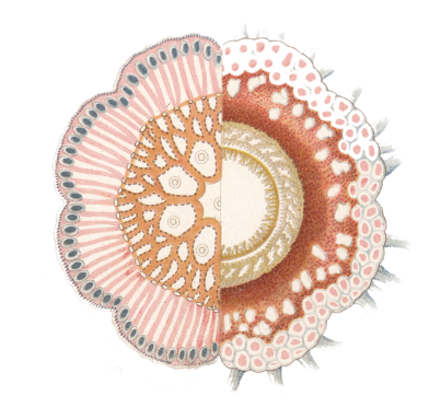Floating image
